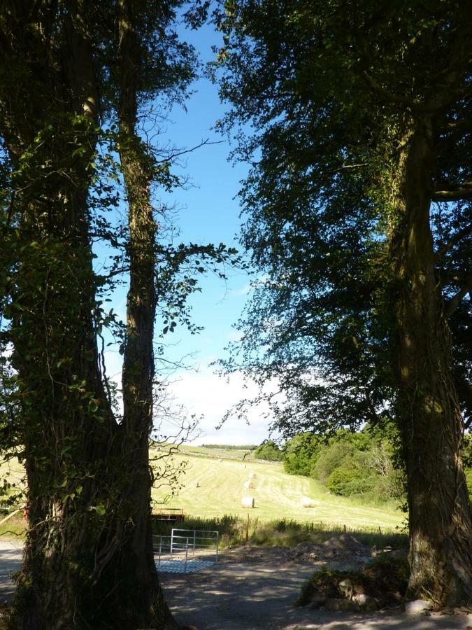 The Roundhouse * Newton Stewart